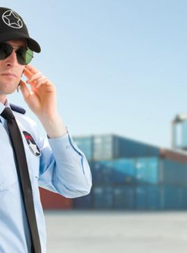 Guardia_Seguridad